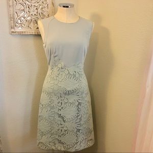 Reiss Rebbie Lace Fit and Flare Dress